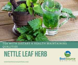 Nettle Leaf Herb